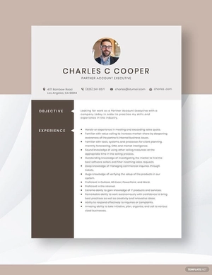 Partner Account Executive Resume