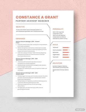 Partner Account Manager Resume
