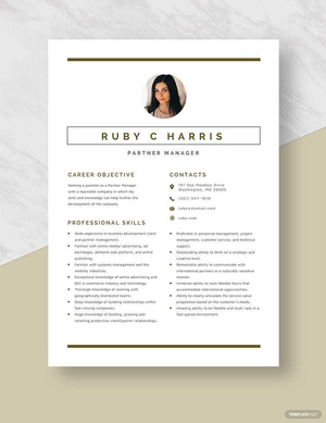 Partner Manager Resume