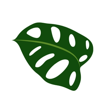 Free Tropical Leave Clipart to Edit Online