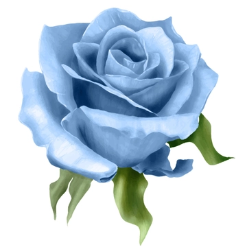 Free Blue Watercolor Rose Clipart to Edit Online