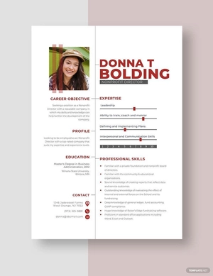 Nonprofit Director Resume