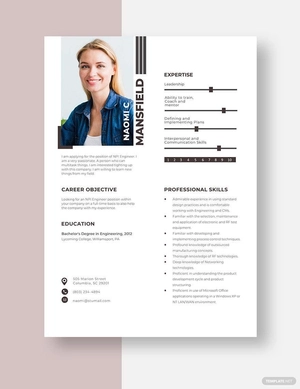 NPI Engineer Resume