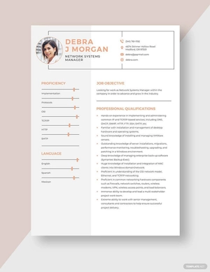 Network Systems Manager Resume