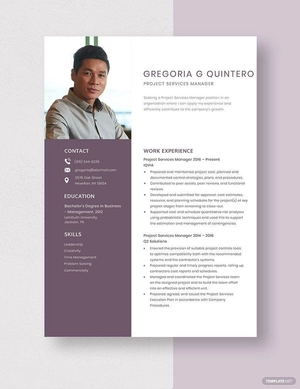 Project Services Manager Resume