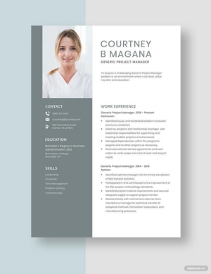 Generic Project Manager Resume