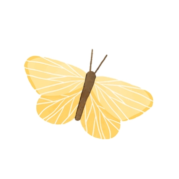 Free Watercolor Butterfly Clipart to Edit Online