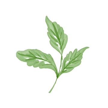 Free Watercolor Leaves Clipart to Edit Online
