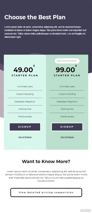Unique Pricing Page Template