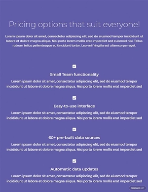 Wide Pricing Page Template