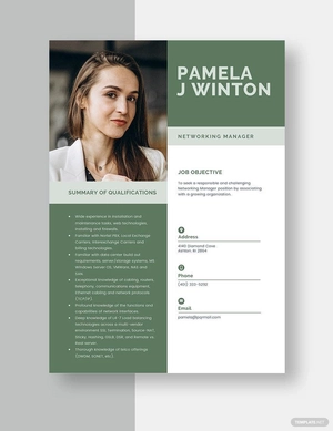 Networking Manager Resume Networking Manager Resume