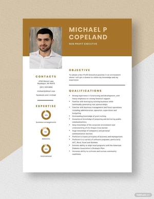 Non Profit Executive Resume
