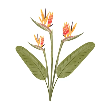 Free Watercolor Tropical Floral Clipart to Edit Online