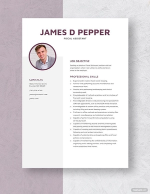 Fiscal Assistant Resume