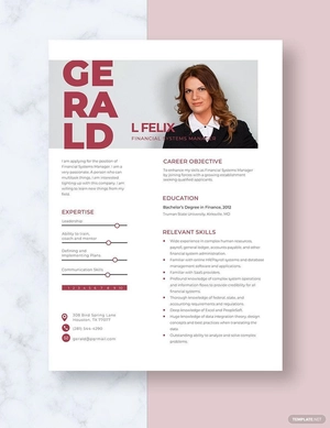 Financial Systems Manager Resume
