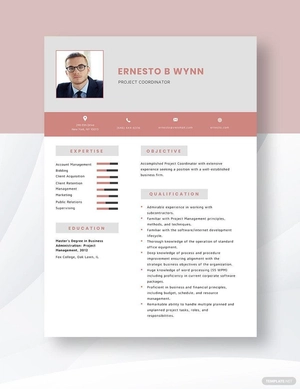 Project Coordinator Resume