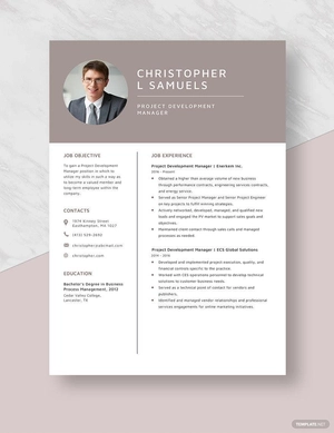 Project Development Manager Resume