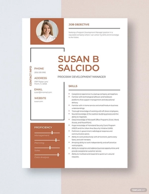Program Development Manager Resume