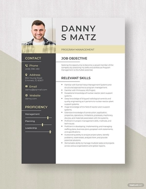 Program Management Resume
