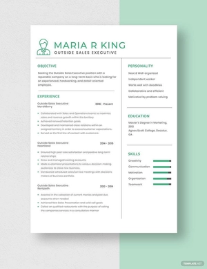 Outside Sales Executive Resume