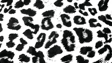 Free White Leopard Print Background to Edit Online