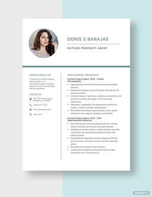 Outside Property Agent Resume