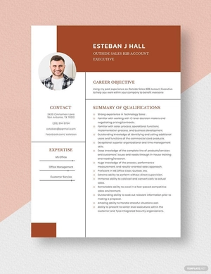 Outside Sales B2B Account Executive Resume