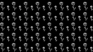 Free White Roses Black Background to Edit Online