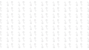 Free White Roses Transparent Background to Edit Online