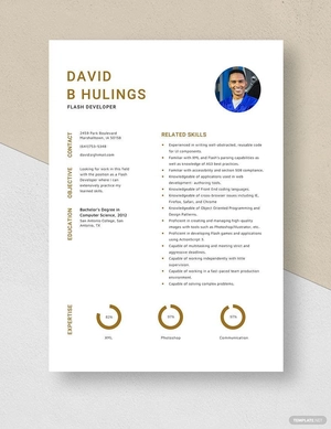 Flash Developer Resume
