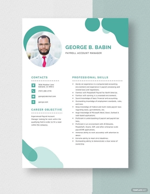Payroll Account Manager Resume