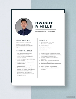 Professional Secretary Resume