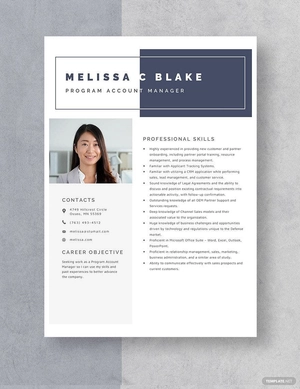 Program Account Manager Resume