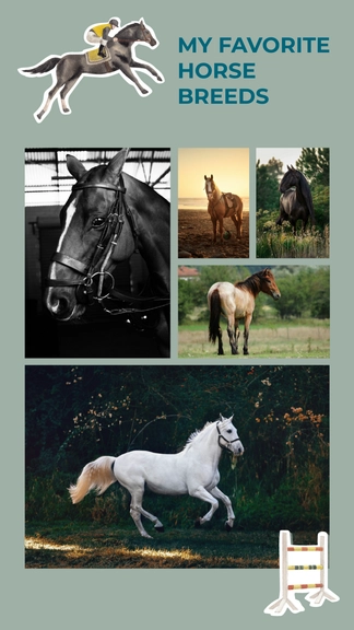 Free Aesthetic Horse Collage Template to Edit Online