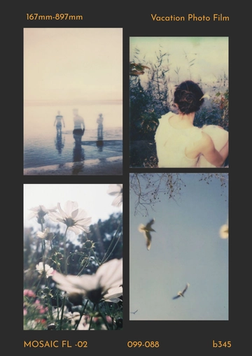 Free Film Photo Collage Template to Edit Online