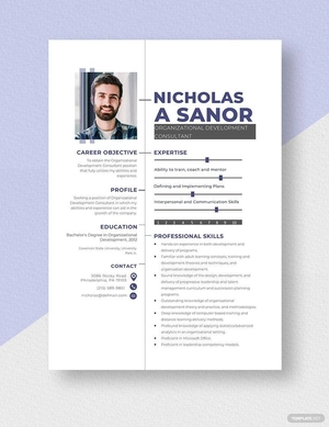 Organizational Development Consultant Resume