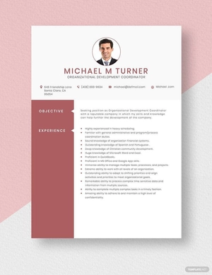 Organizational Development Coordinator Resume