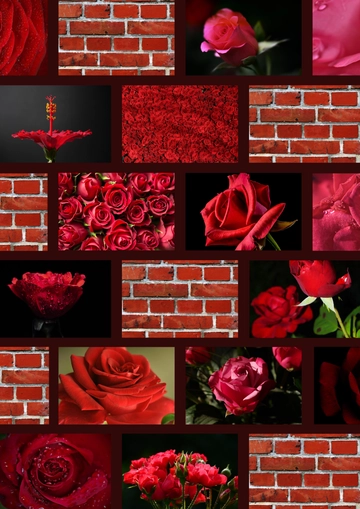 Free 15 Photo Collage Template to Edit Online