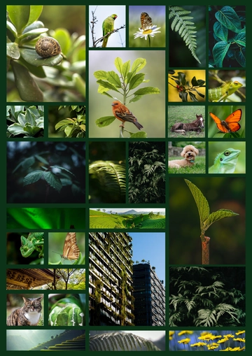 Free 30 Photo Collage Template to Edit Online