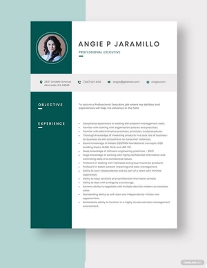Professional Executive Resume