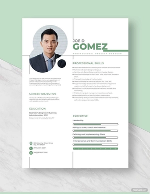 Professional Project Manager Resume
