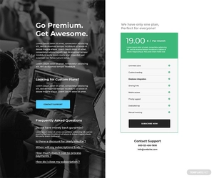 Single SaaS Price Page Template