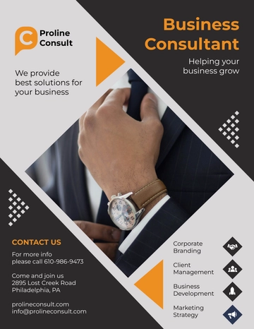 Free Business Consultant Leaflet to Edit Online
