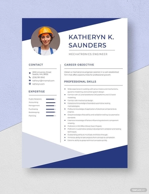 Mechatronics Engineer Resume