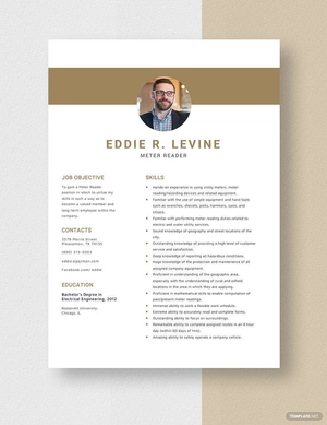 Meter Reader Resume