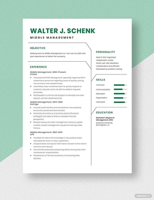 Middle Management Resume