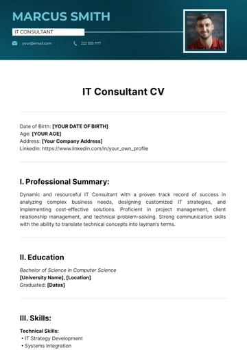 Free IT Consultant CV Template to Edit Online