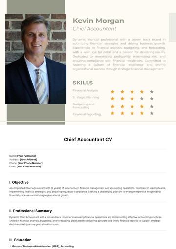 Free Chief Accountant CV Template to Edit Online