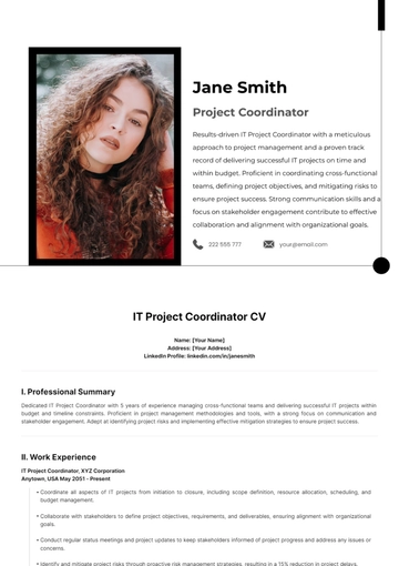 Free IT Project Coordinator CV Template to Edit Online