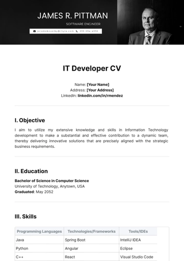 Free IT Developer CV Template to Edit Online